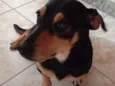 Bob
