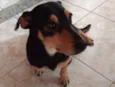 Bob