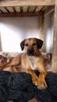 Frida