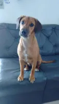 Frida