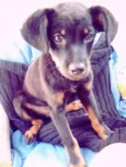 Samantha