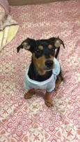 Júnior