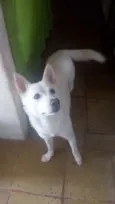 Atena