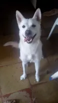 Atena