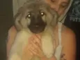 Jake