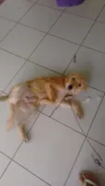 Marley