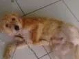 Marley
