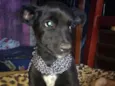 Ralf,espak ,princesa