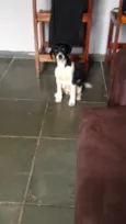 Não tem