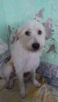 Marley