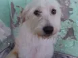 Marley