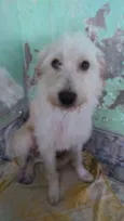 Marley