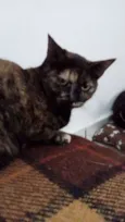 Madalena