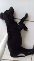 Lua