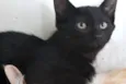 Kiara