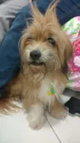 Chiquinho