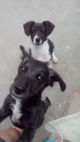 Zeus