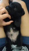 Tim