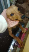 Bili