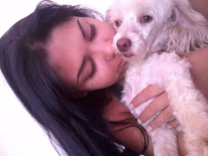 Cachorro ra a MIX POODLE idade 4 anos nome MILI GRATIFICA