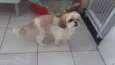 Linda