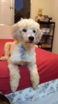 Nick