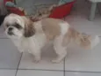 Linda