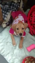 Mel