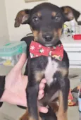 KIKO