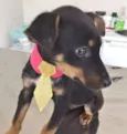 KIKO