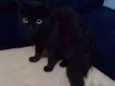 Preta