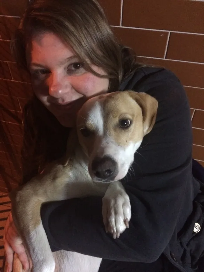 Cachorro ra a Border Coile e SRD idade 7 a 11 meses nome Jack e Lili