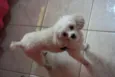 Boby