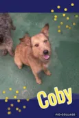 COBY!!!