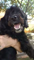 Dinho