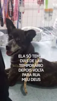 Diego