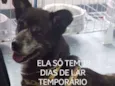 Diego