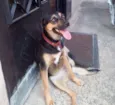 TULY
