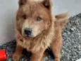 Ted