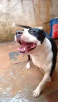 Tyson