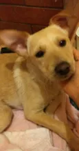 Marley