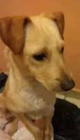 Marley