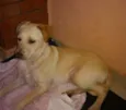 Marley
