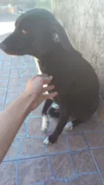 Bob