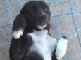 Bob