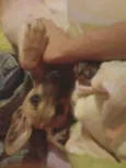 Maggie