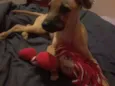 Maggie