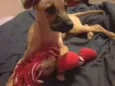 Maggie