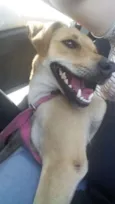 Nina