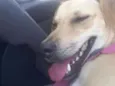 Nina